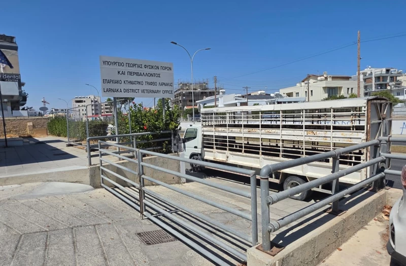 Κλιμακώνουν τις κινητοποιήσεις οι κτηνοτρόφοι – Απέκλεισαν το Επαρχιακό Κτηνιατρικό Γραφείο Λάρνακας